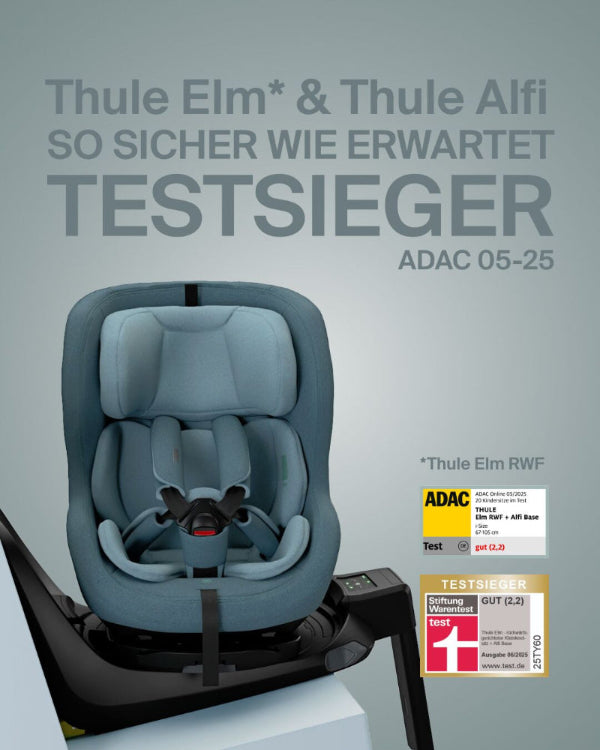 Thule Elm Kleinkindsitz