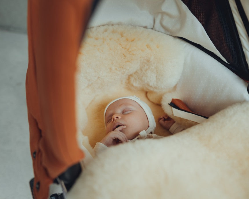 Winter Set Lammfell EMIL